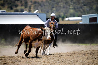 AdaminabyCampdraft2016_0251