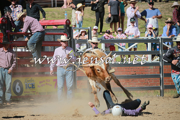 CoomaRodeo2016_1942