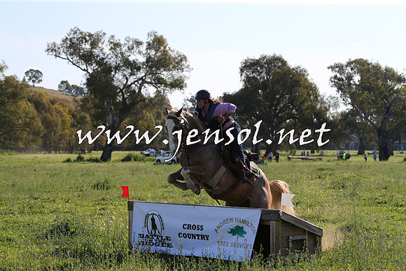 BattleoftheBidgee_1519