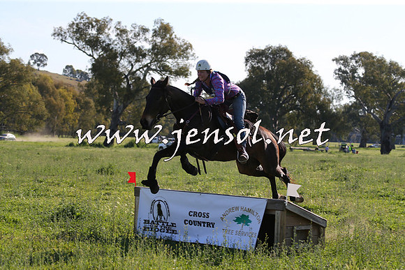 BattleoftheBidgee_1513