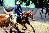 NimmitabelCampdraft2024_0973
