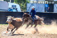 NimmitabelCampdraft2024_0952