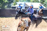 NimmitabelCampdraft2024_0915