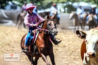 NimmitabelCampdraft2024_0900
