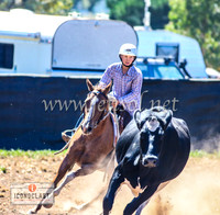 NimmitabelCampdraft2024_1147