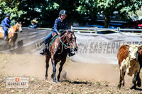 NimmitabelCampdraft2024_0786