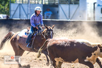 NimmitabelCampdraft2024_0798