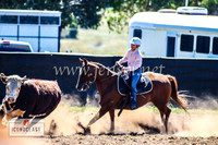 NimmitabelCampdraft2024_0843