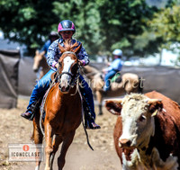 NimmitabelCampdraft2024_1049