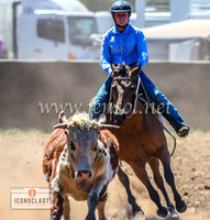 NimmitabelCampdraft2024_1118