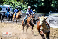 NimmitabelCampdraft2024_0805
