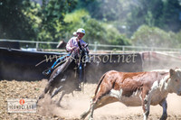 NimmitabelCampdraft2024_1006