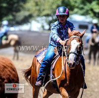 NimmitabelCampdraft2024_1064