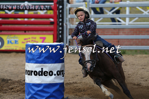 CoomaRodeo2015_1823