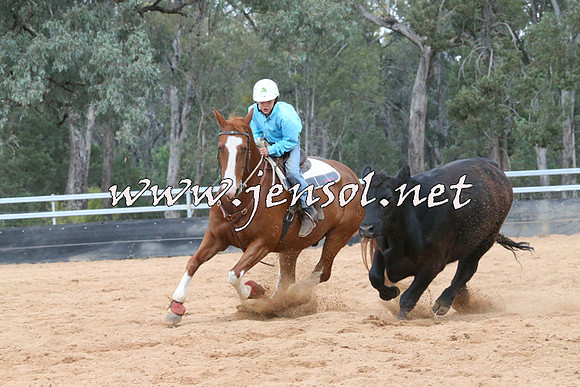 TubbulCampdraft2014_2017