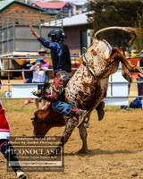 JindabyneRodeo2019_0175