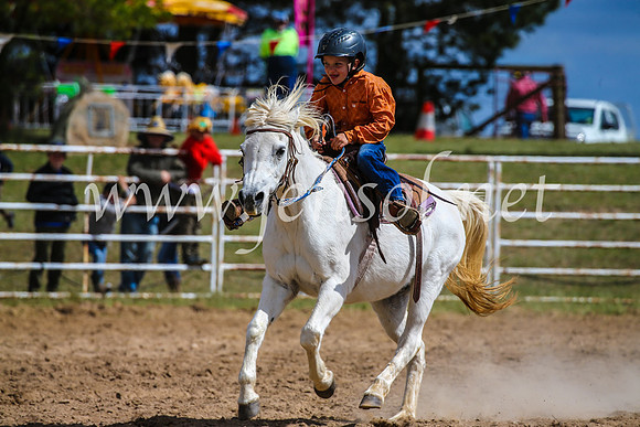 BungendoreRodeo2017_0613