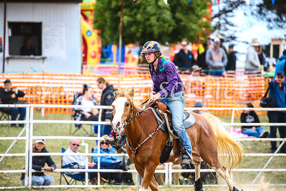 BungendoreRodeo2017_1256