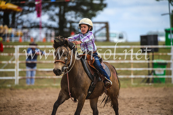 BungendoreRodeo2017_0729