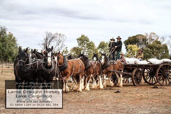 LakeCargelligo2018_0872