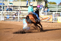 CoonambleRodeoCampdraftSat_0218
