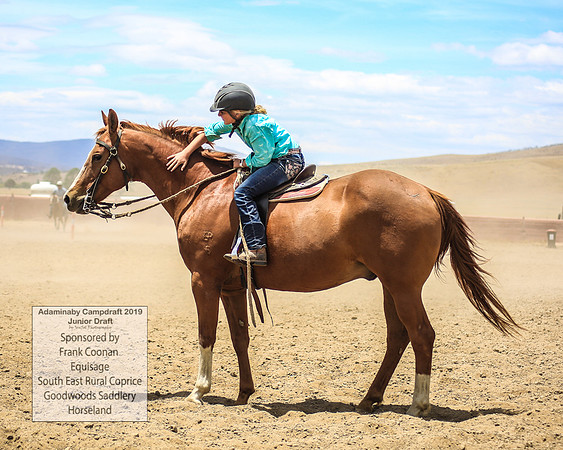 AdaminabyCampdraft2019_0958