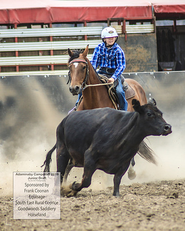 AdaminabyCampdraft2019_1093