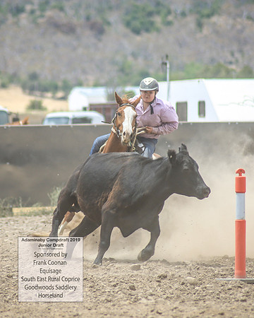 AdaminabyCampdraft2019_1083