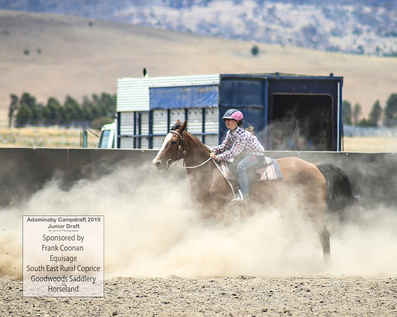 AdaminabyCampdraft2019_0964