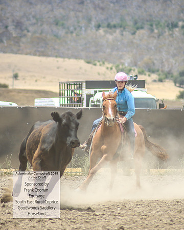 AdaminabyCampdraft2019_1071