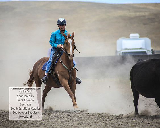 AdaminabyCampdraft2019_1050