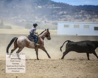 AdaminabyCampdraft2019_1026