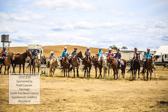 AdaminabyCampdraft2019_1113