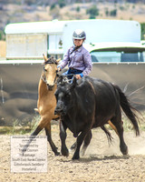 AdaminabyCampdraft2019_1016