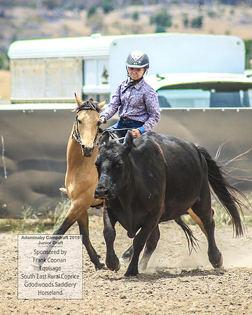 AdaminabyCampdraft2019_1016