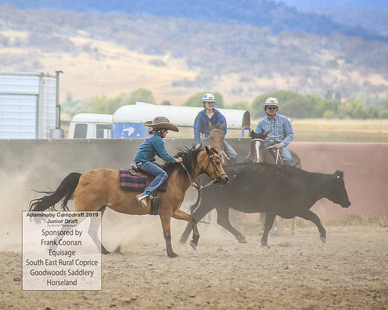 AdaminabyCampdraft2019_1091