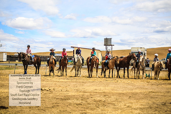 AdaminabyCampdraft2019_1108