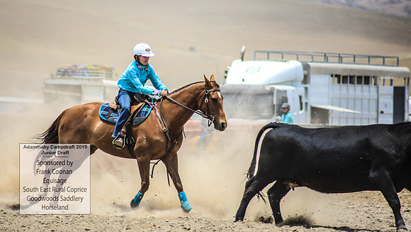 AdaminabyCampdraft2019_1039
