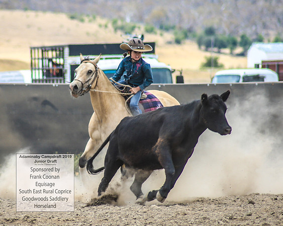 AdaminabyCampdraft2019_1052