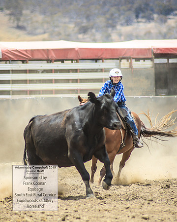 AdaminabyCampdraft2019_1029