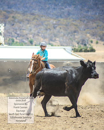 AdaminabyCampdraft2019_0947