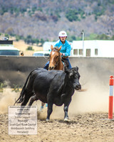 AdaminabyCampdraft2019_1034