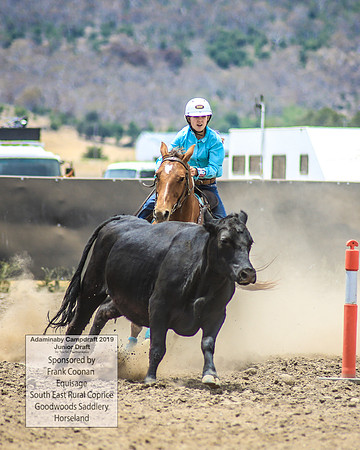 AdaminabyCampdraft2019_1034
