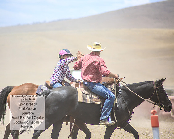 AdaminabyCampdraft2019_0985