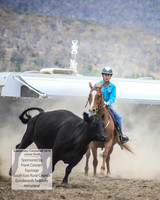 AdaminabyCampdraft2019_1045