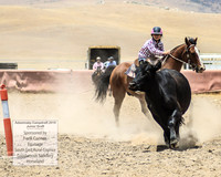 AdaminabyCampdraft2019_0978