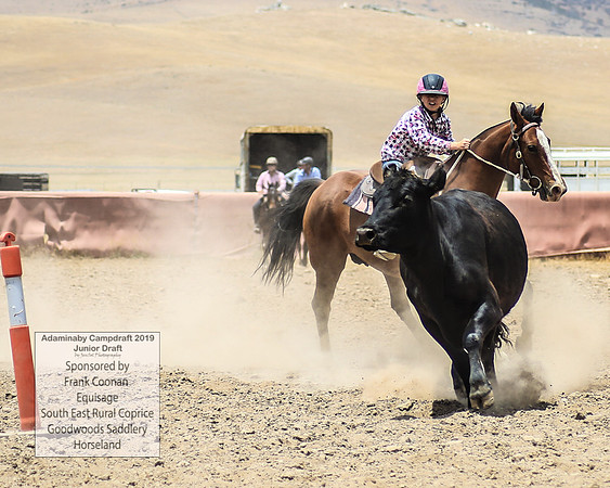 AdaminabyCampdraft2019_0978