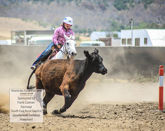 AdaminabyCampdraft2019_0990