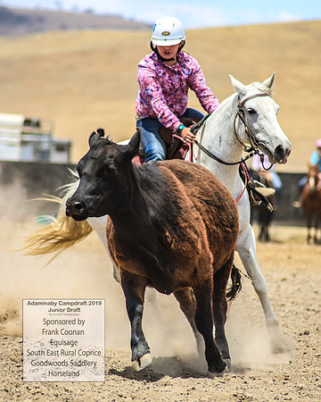AdaminabyCampdraft2019_0994