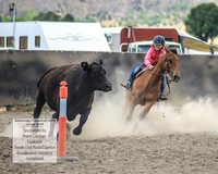 AdaminabyCampdraft2019_1057